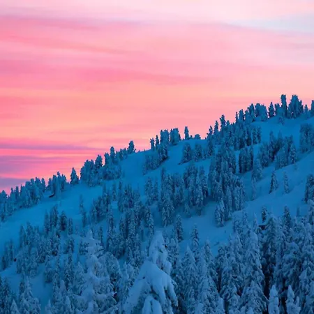 Tatil Evi Beautiful In A Stunning Location With Sauna